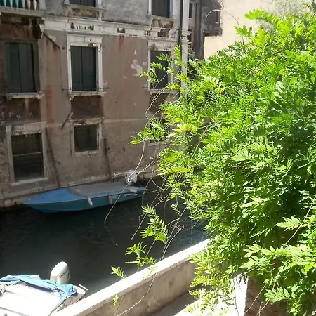 Star Venice